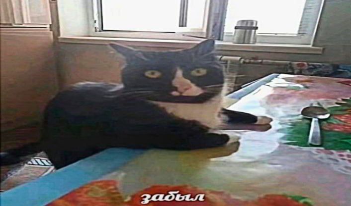 Кажется, мы... я... он стал забывать
